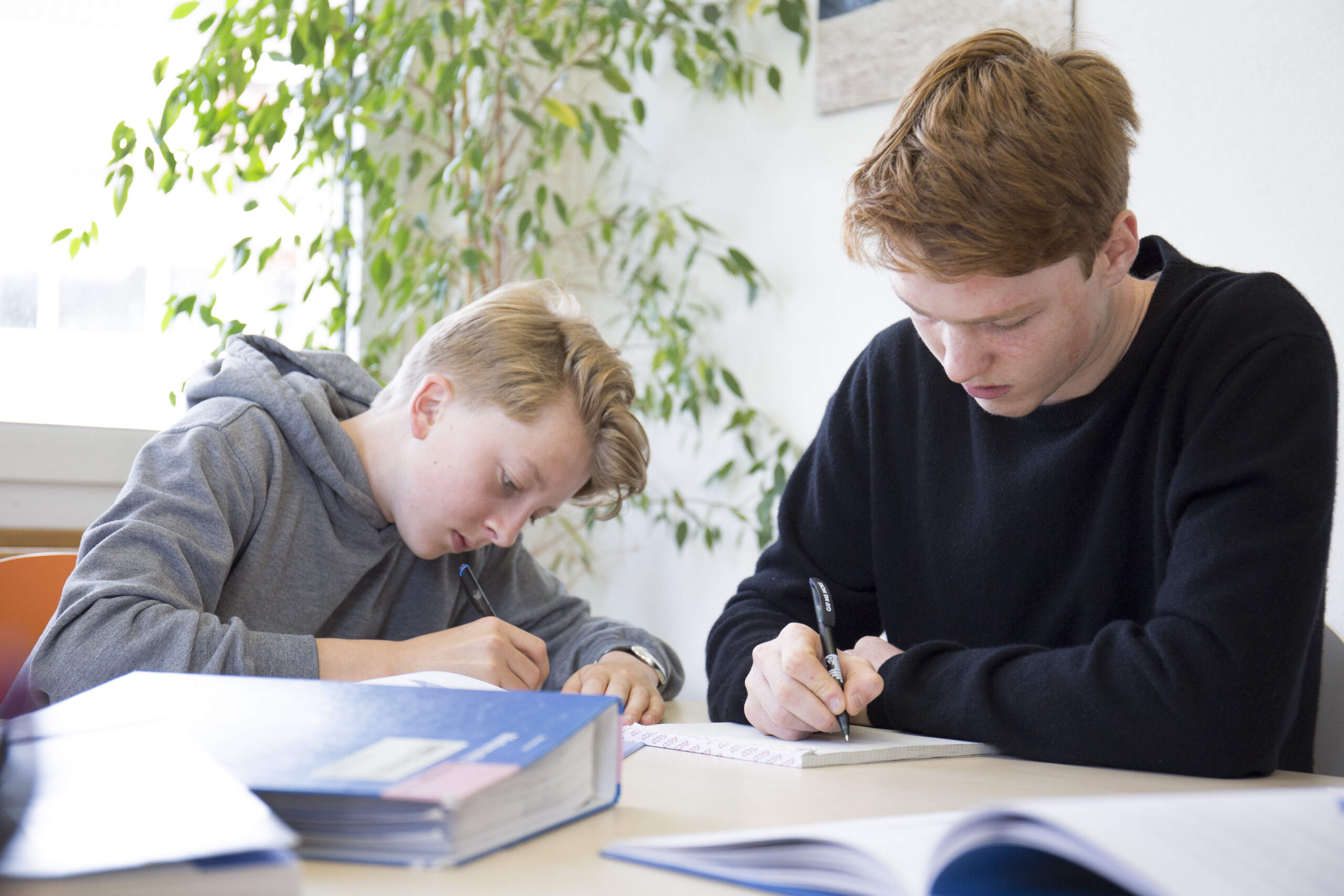 Nachhilfe in der Schweiz: Qualifizierte Unterstützung für alle Fächer und Schulstufen